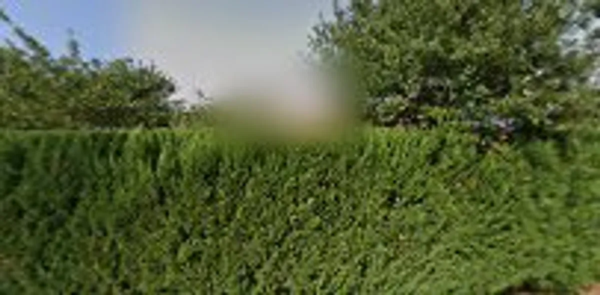 B&B Landes Conciergerie Lydia PIGAL