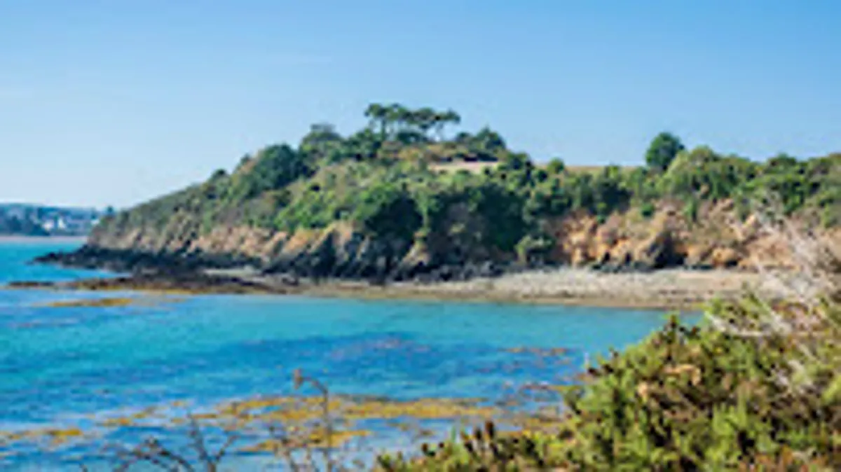 "CLS" Conciergerie Location Saisonnière Service