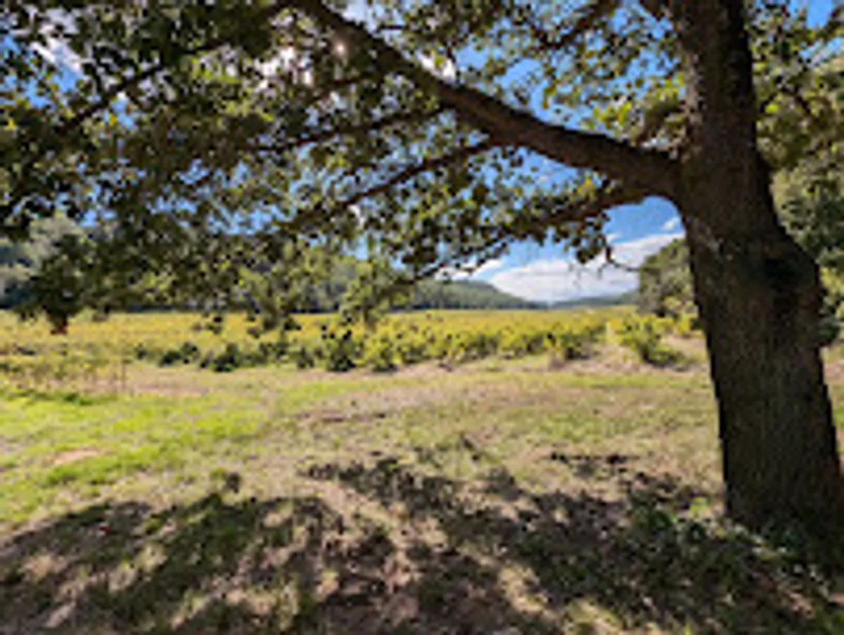 Conciergerie Adventura