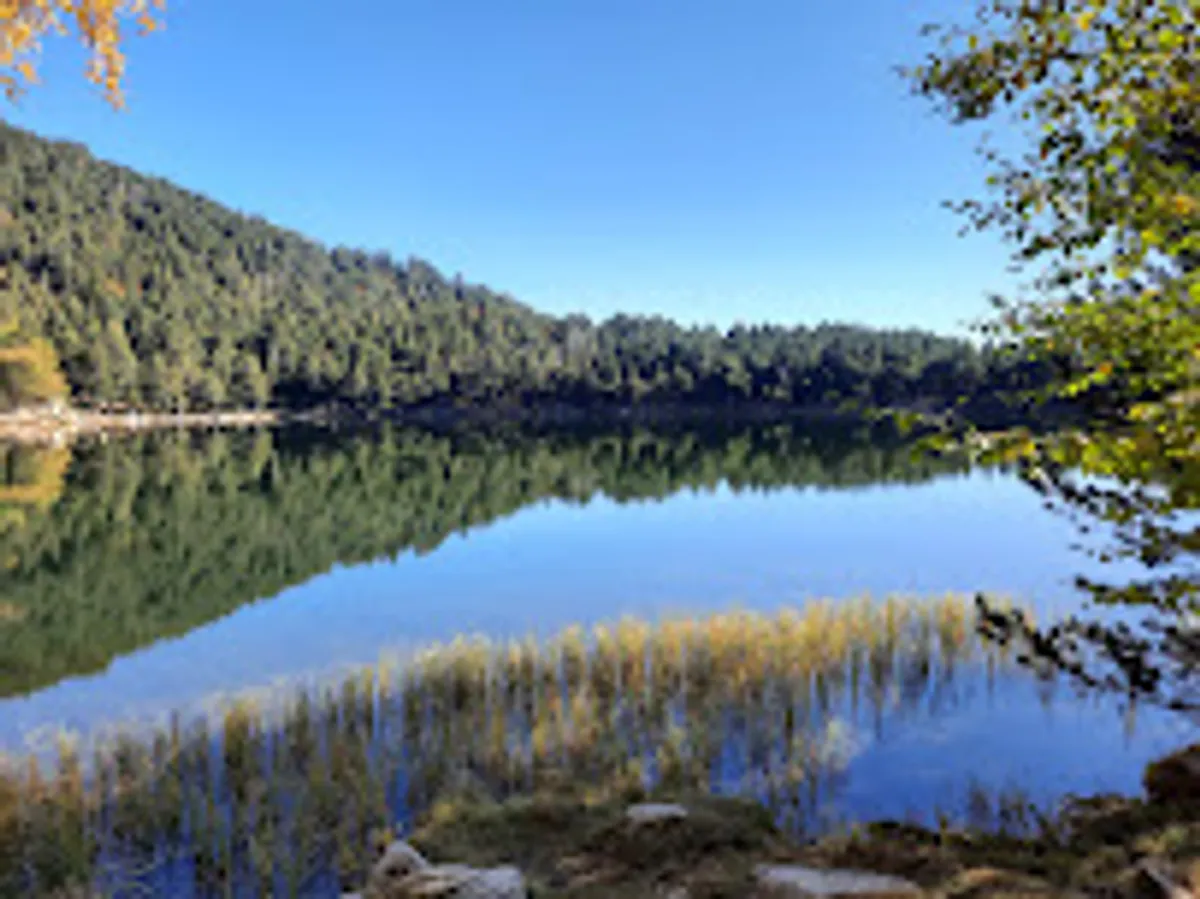 Conciergerie Cocooning Services