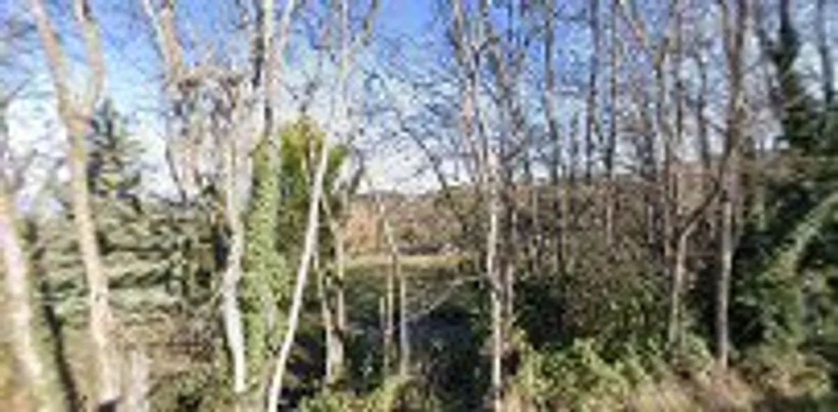 Conciergerie en Luberon