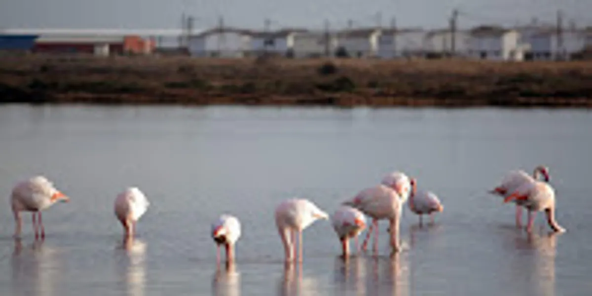 conciergerie les clefs de l'aude