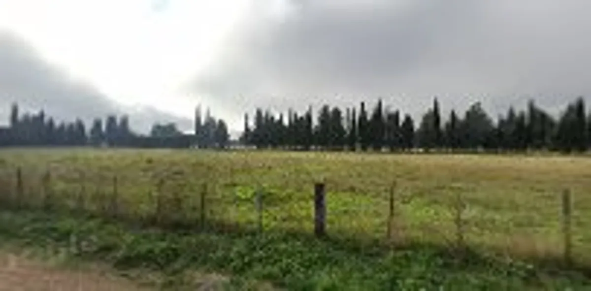 Conciergerie Nicodème Alexandre Welcome Host