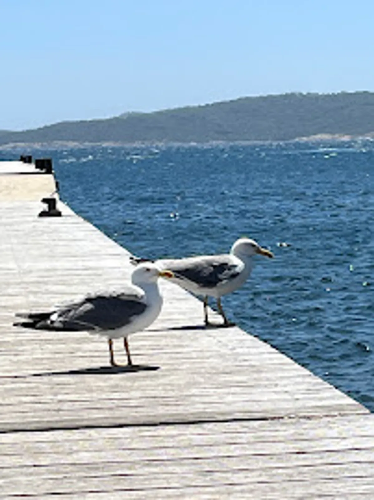Conciergerie Rêve des Îles by Hostnfly