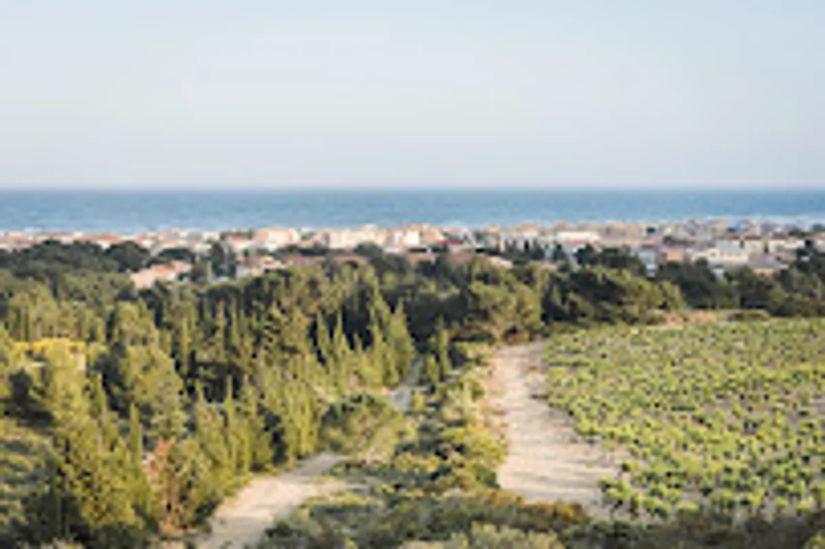 Holidayland location de vacances /Conciergerie