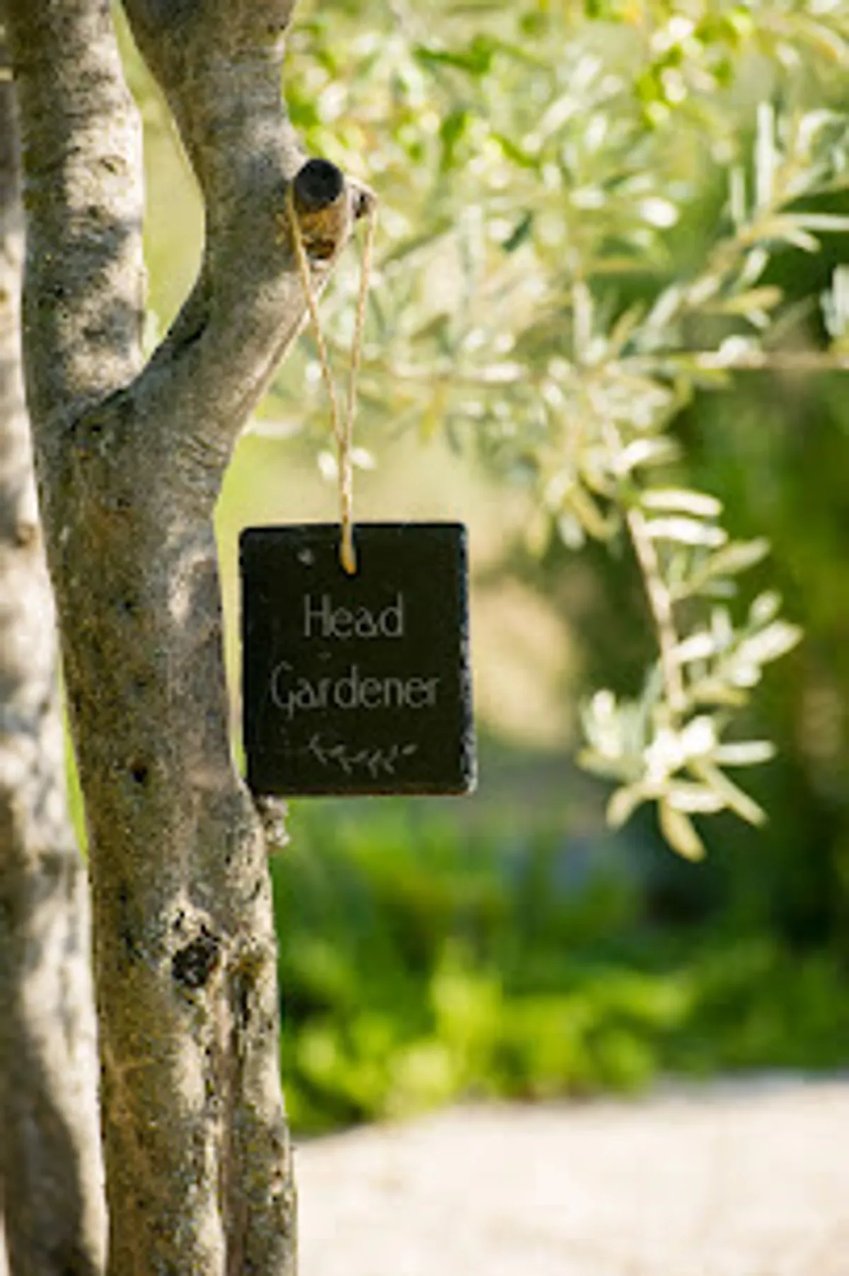 Janet And Co - conciergerie privée - gestion des maisons secondaires