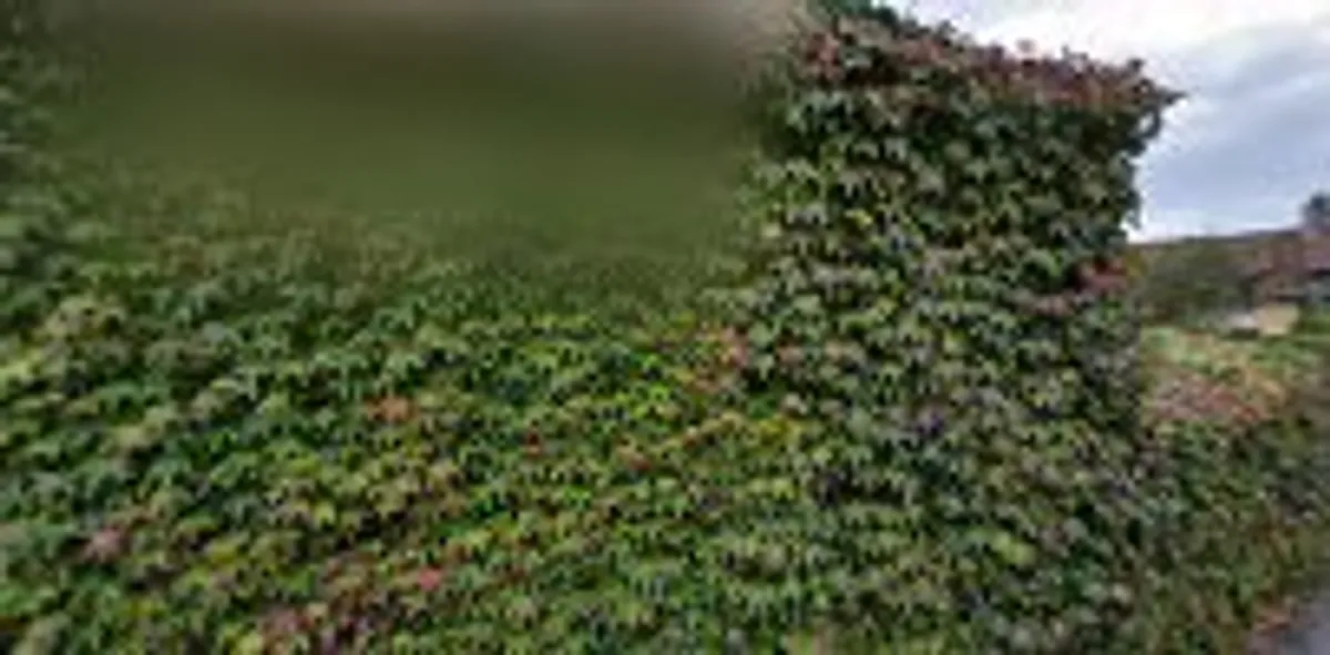 Key Garden Conciergerie