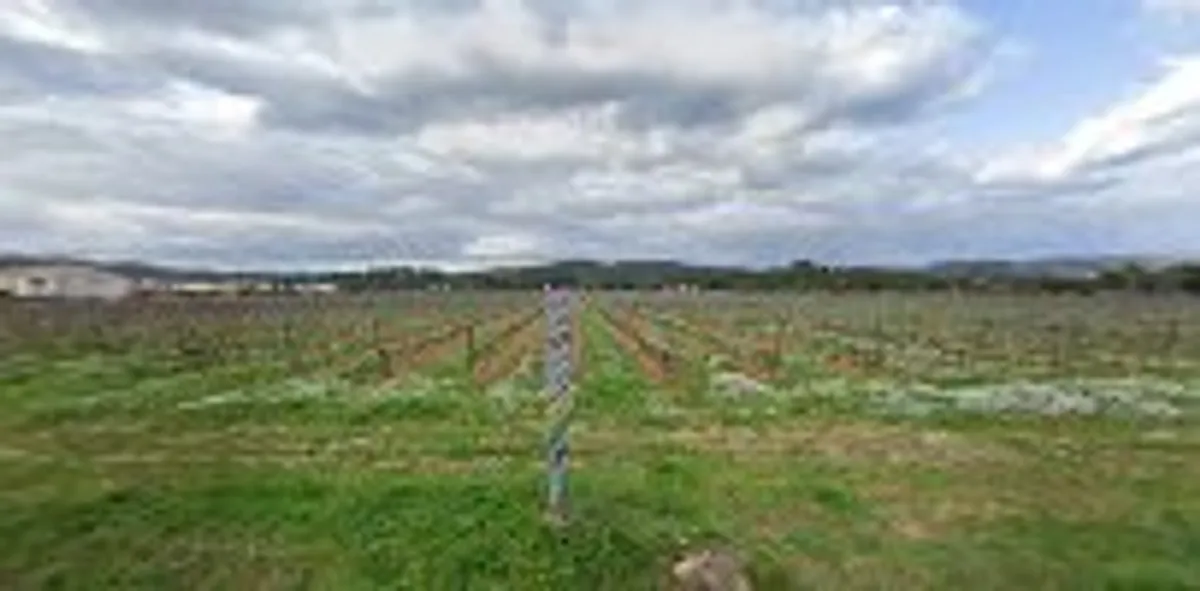 La clé de la Liberté Conciergerie