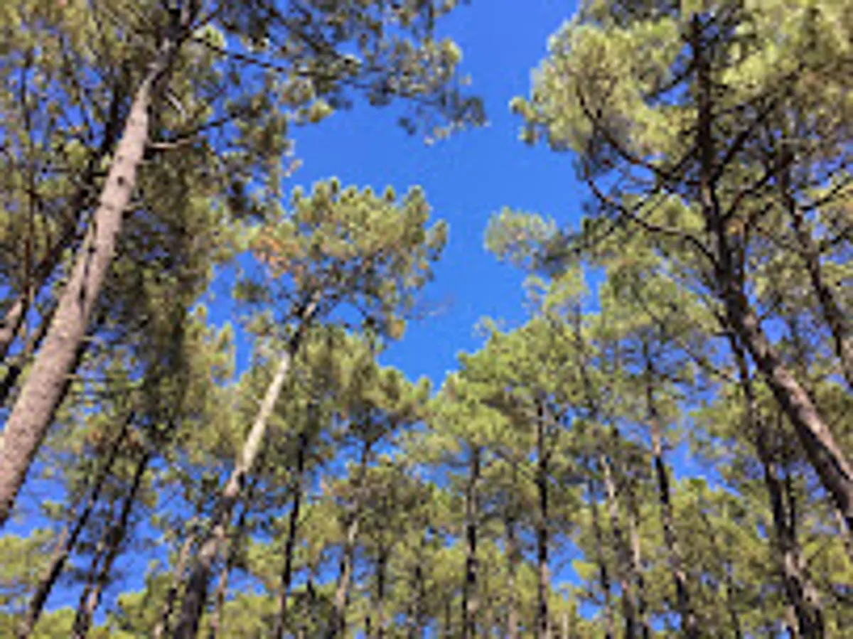 La Conciergerie de l'Océan