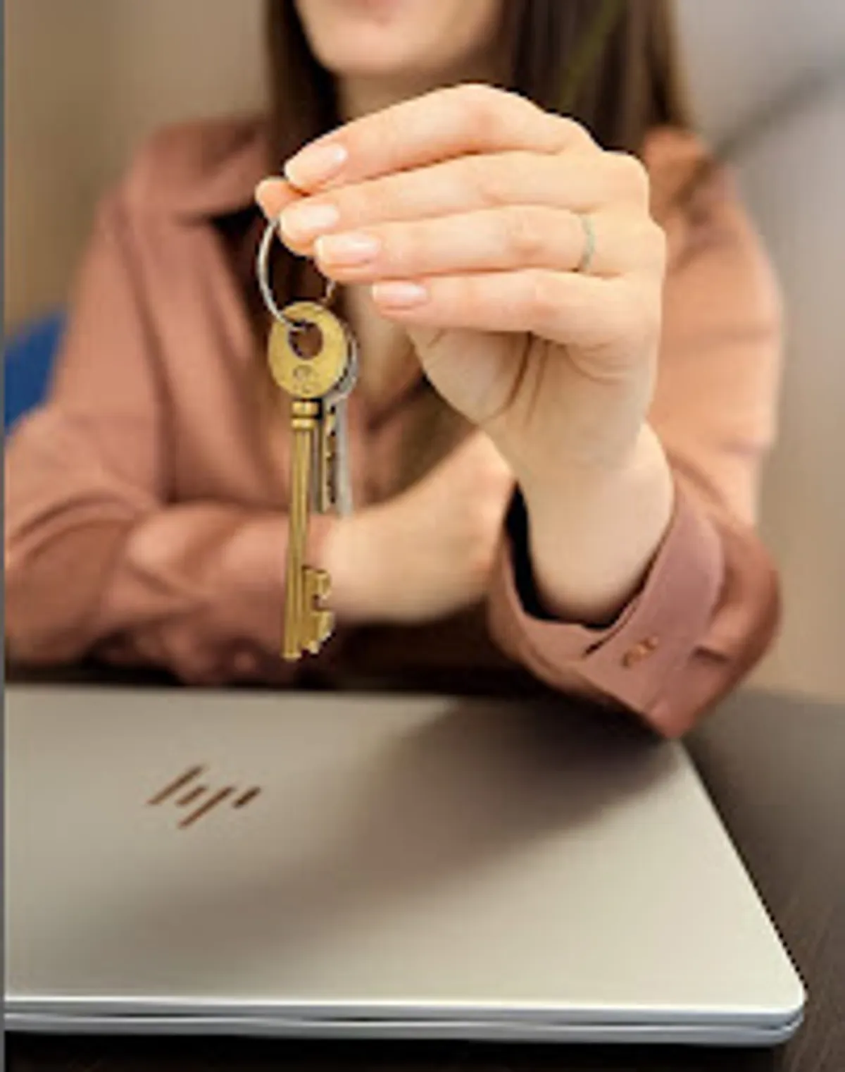 La fée des clefs - conciergerie St Alban du Rhône/ Vienne et alentours