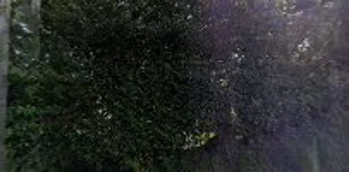 L&E Normandie Conciergerie