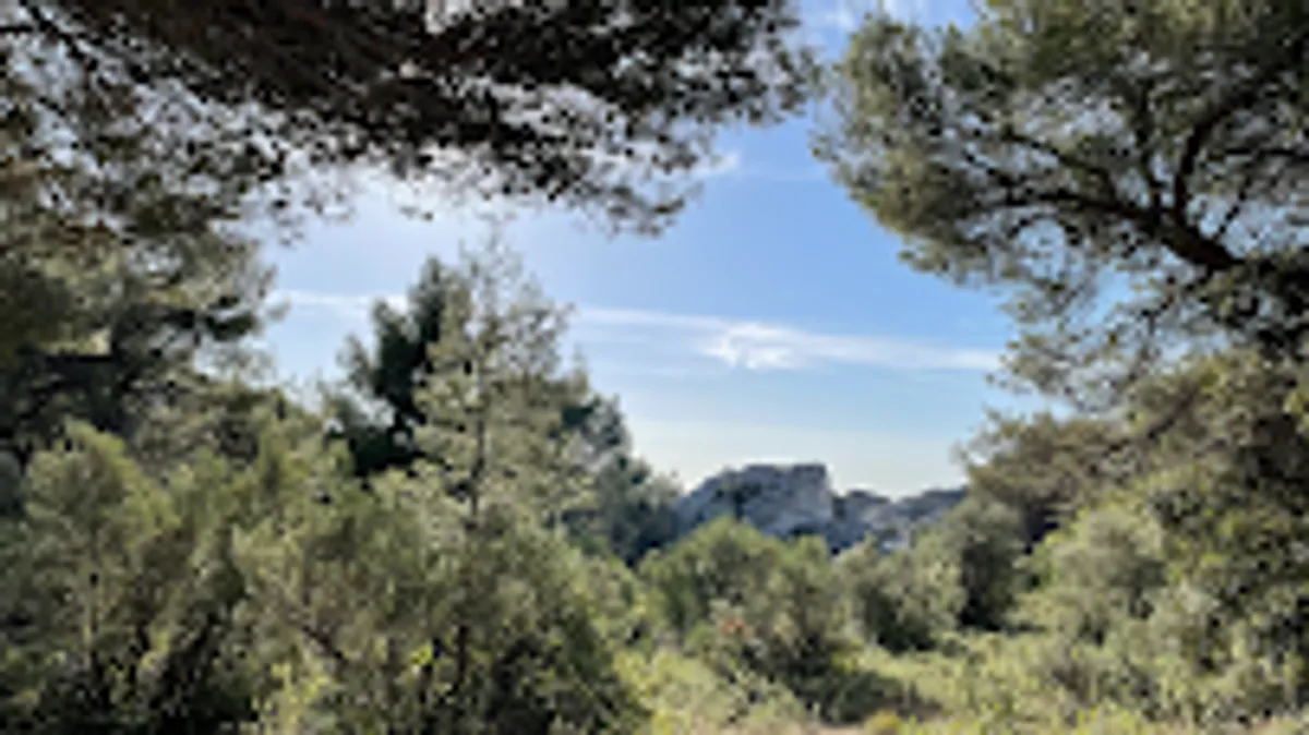 Les Alpilles de Lucie