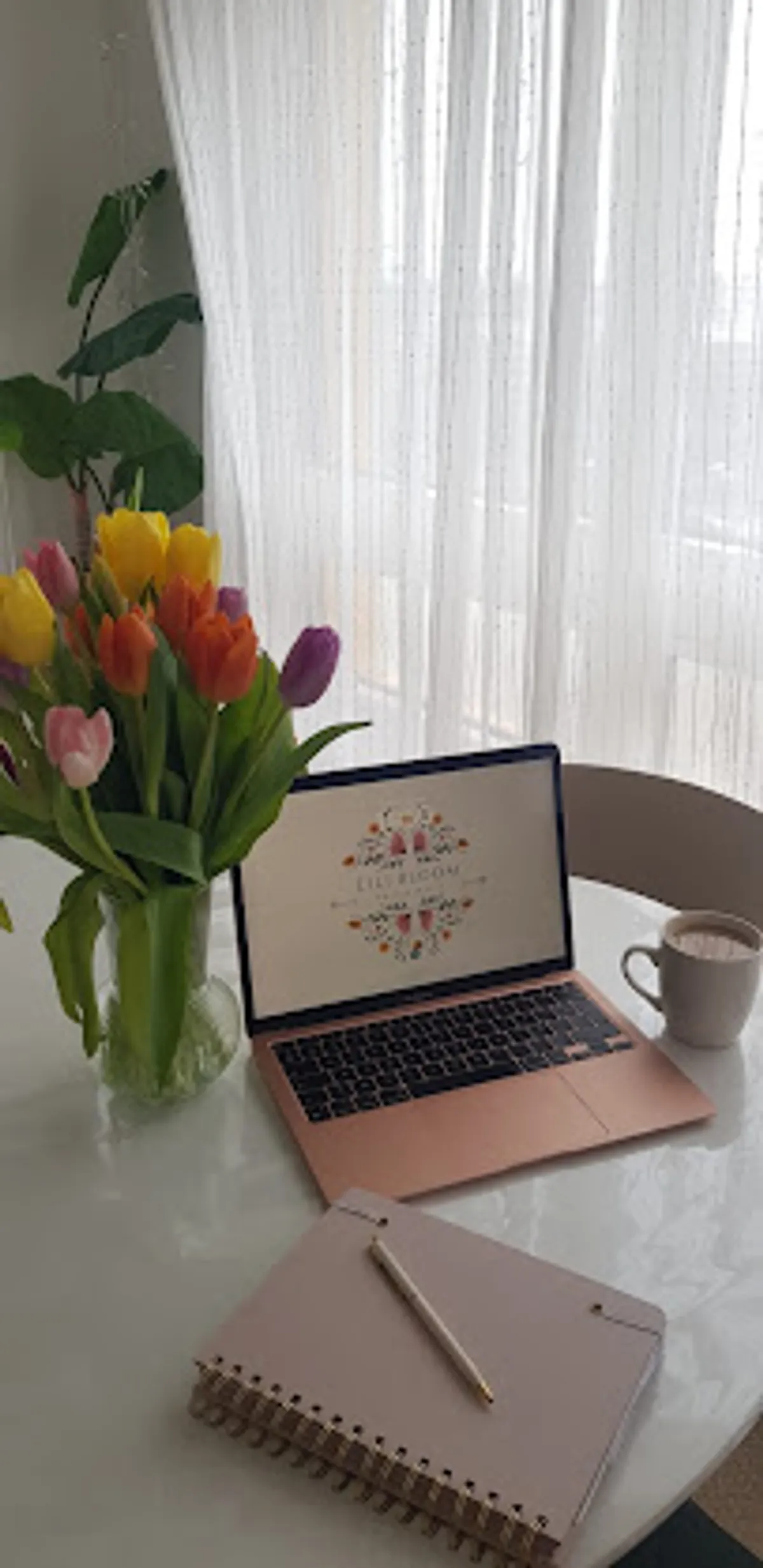 Lili Bloom Conciergerie