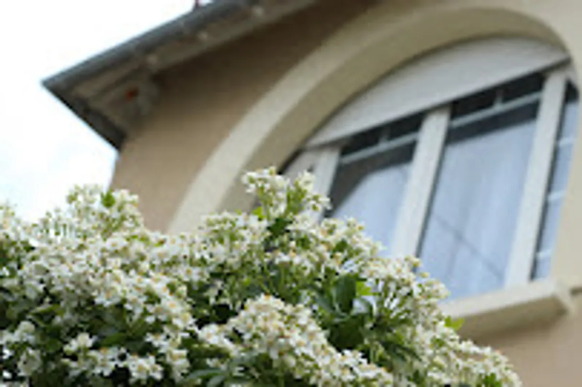 Location Saint-Malo Entre Amis