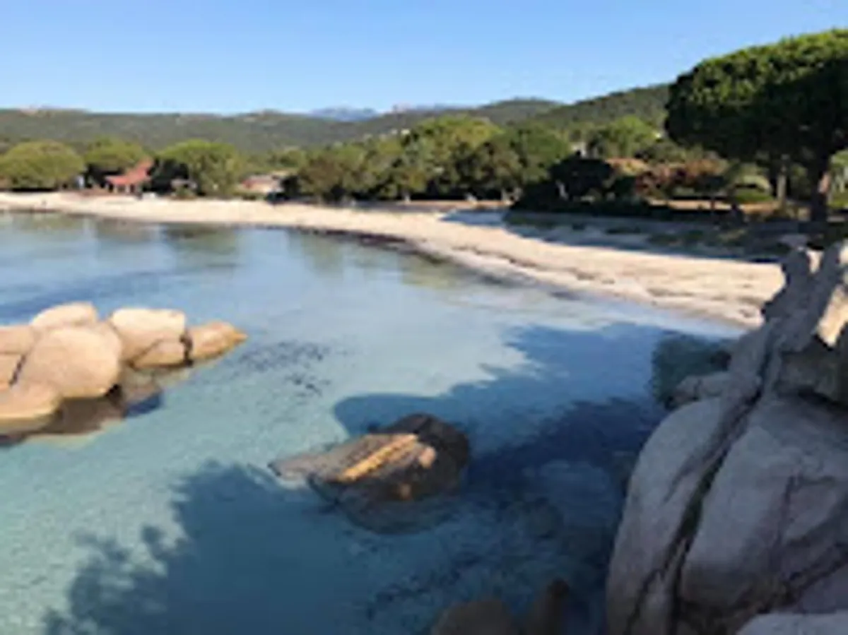 location villa bormes les mimosas - conciergerie