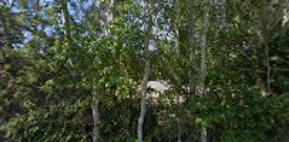 Mas Dédé - WM Conciergerie