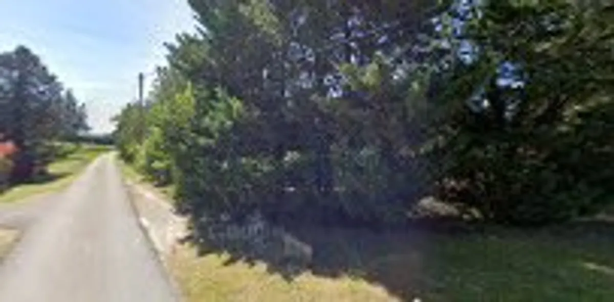 Menz House Management