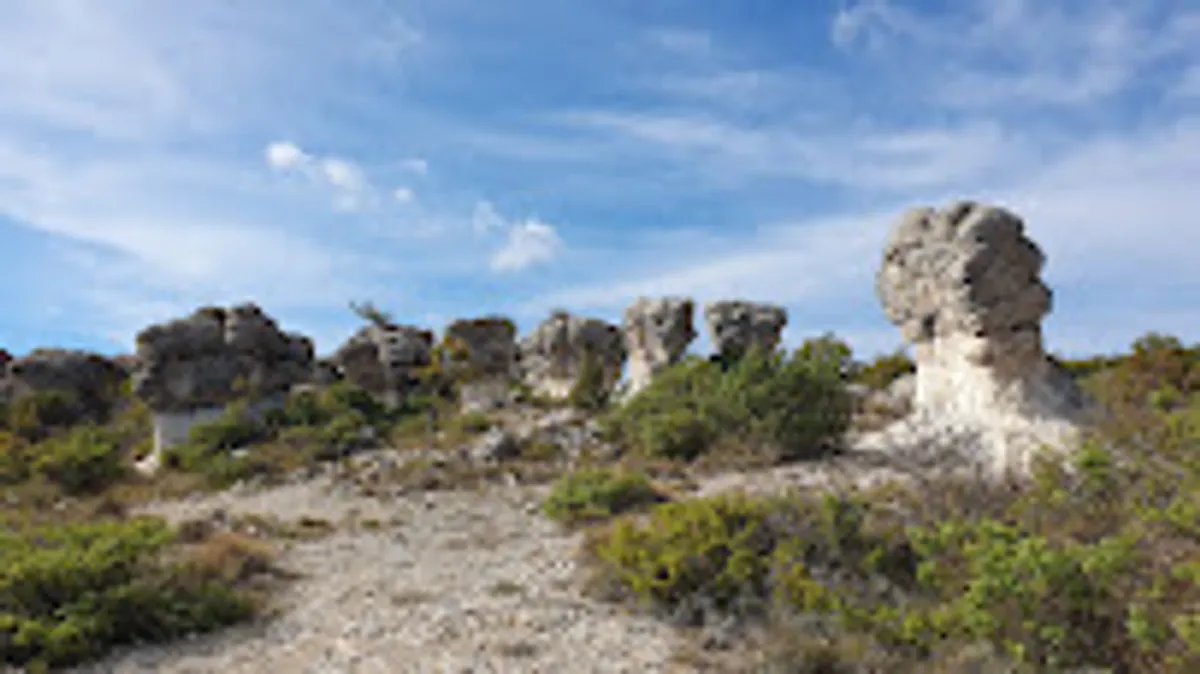Provence Alpes Conciergerie