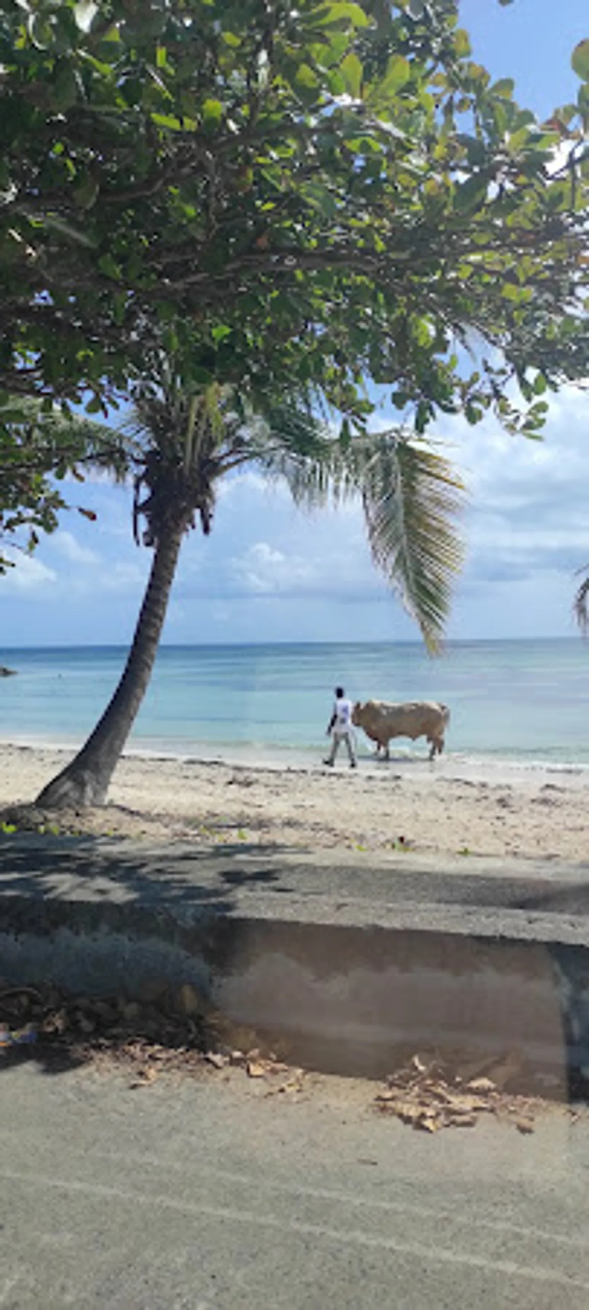 Rêv'n Go Services - Conciergerie