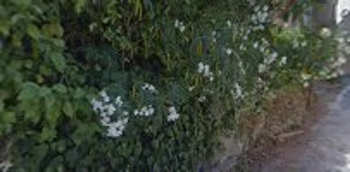 VILLA DOMINICCI By MM Conciergerie