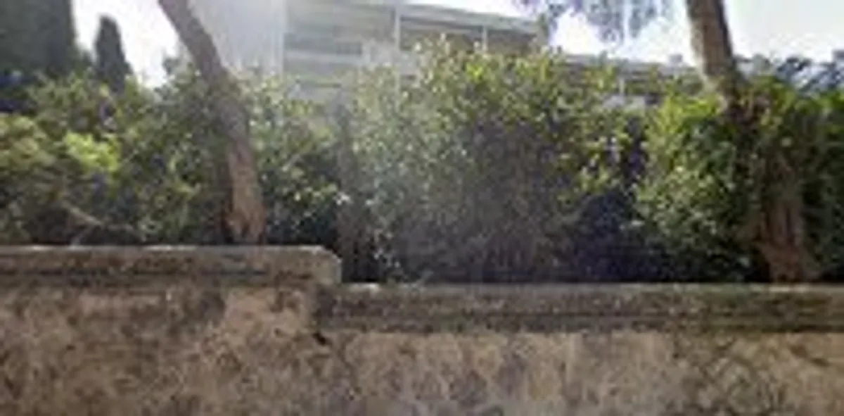 Win Time Conciergerie