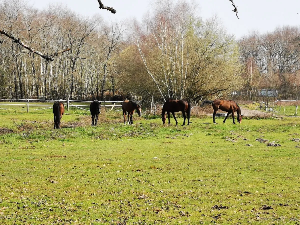 Saint-Médard-en-Jalles