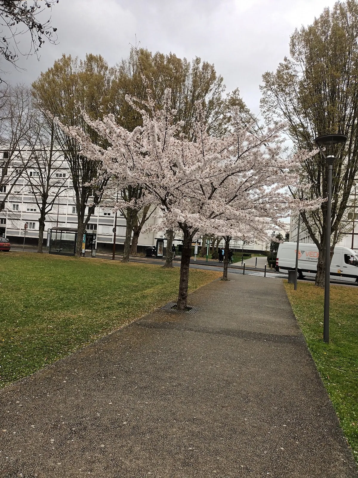 Sainte-Geneviève-des-Bois