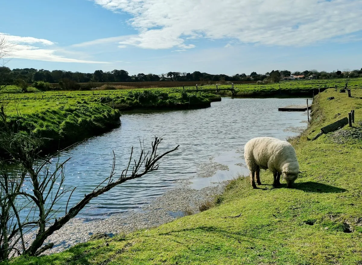 Talmont-Saint-Hilaire